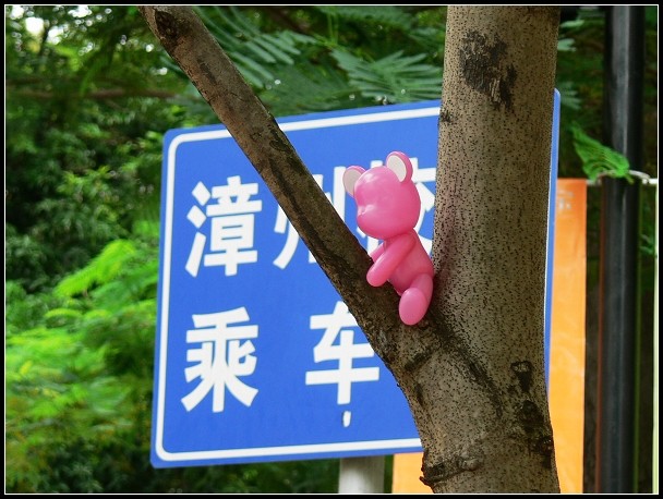 上传的图片